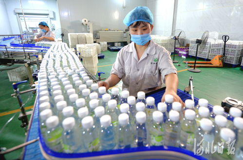 河北巨鹿 农产品加工促增收，凤凰网河北聚焦乡村振兴新路径