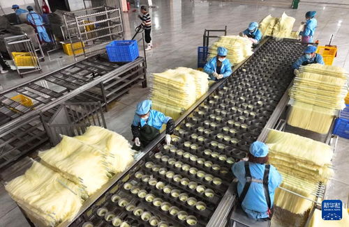 农产品加工助民增收——湖南衡阳的成功实践