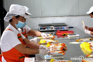 镇安万吨特色农产品加工生产线投产，产业扶贫助力精准脱贫