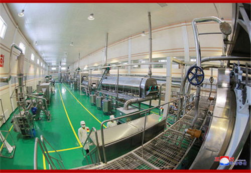 东台食品机械厂 打造卓越马铃薯颗粒全粉生产线的明智之选