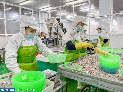 冠海水产柯锐城 濠江发展预制菜产业条件优越、基础雄厚，初级农产品购销体系完善