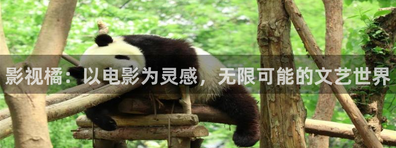 桔子视频tv：影视橘：以电影为灵感，无限可能的文艺世界