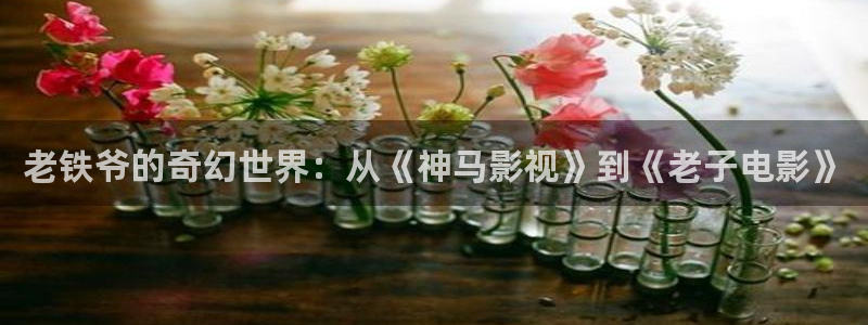 桔子影视app免费下载：老铁爷的奇幻世界：从《神马影视》到《老子电影》