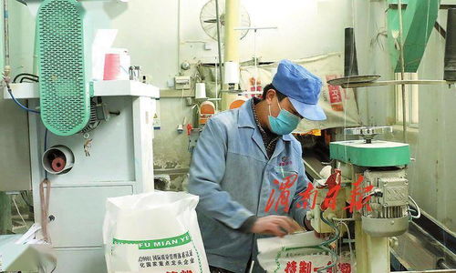 打造农产品加工产业新地标 渭南经开区倾力推进农业产业高质量发展