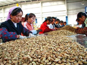 广西农产品加工集聚区发展规划 2020年前的产业布局与目标