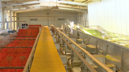 提升农产品精深加工“硬本领” 打通产业链塑造新优势