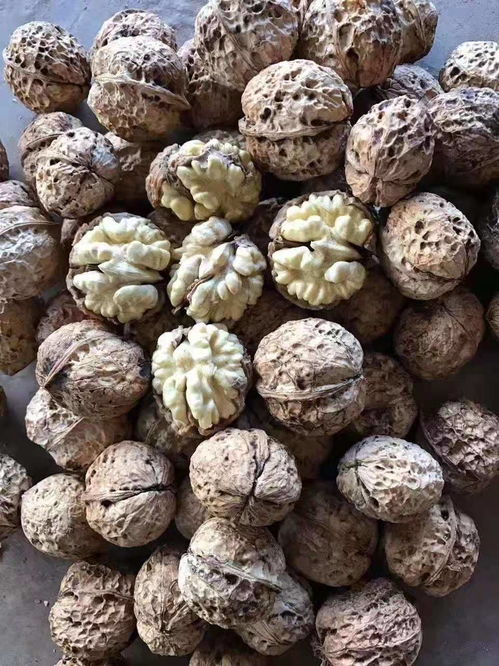 农产品加工 连接农业与工业的桥梁及其发展前景