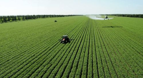 唐华俊院士 智慧农业赋能农产品加工，推动农业现代化高质量发展