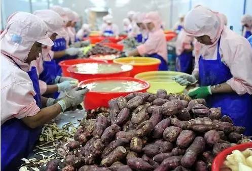 铜鼓县农产品初加工迎政策红利，专项补助资金助推产业升级