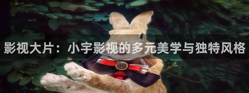 桔子视频在线下载