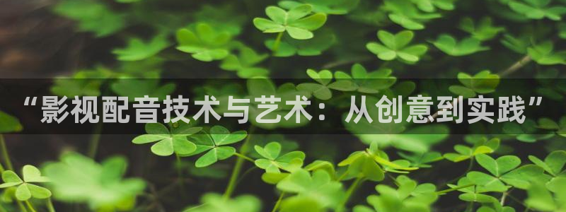 桔子套袋的正确方法视频：“影视配音技术与艺术：从创意到实践”