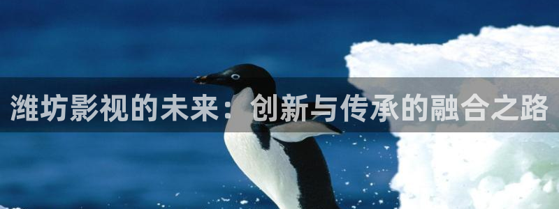 桔子视频网址