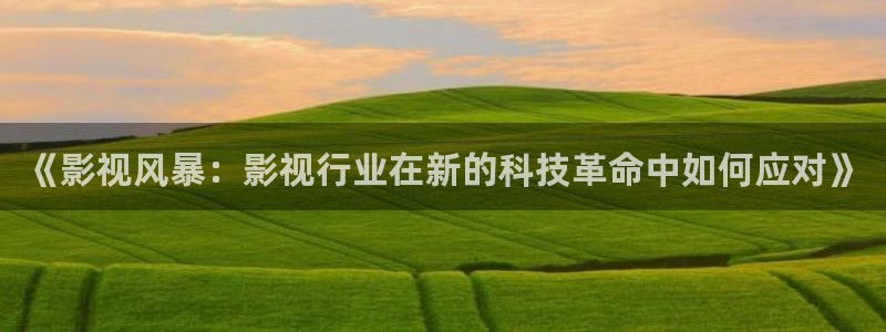 桔子视频电视剧高清资源：《影视风暴：影视行业在新的科技革命中如何应对》