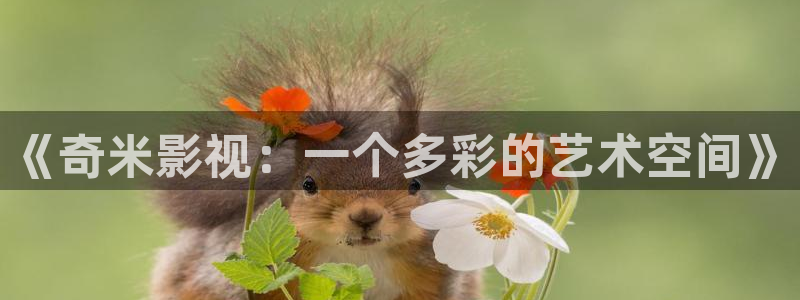 桔子视频免费观看电视剧最新章节