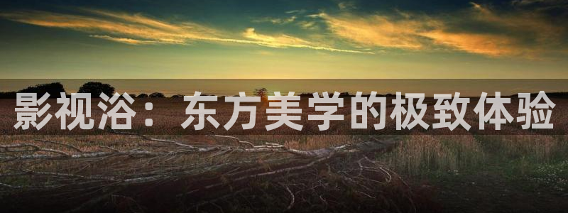 桔子影视在线：影视浴：东方美学的极致体验